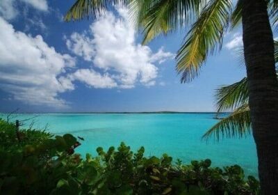 Caribbean CBI e1708097964440